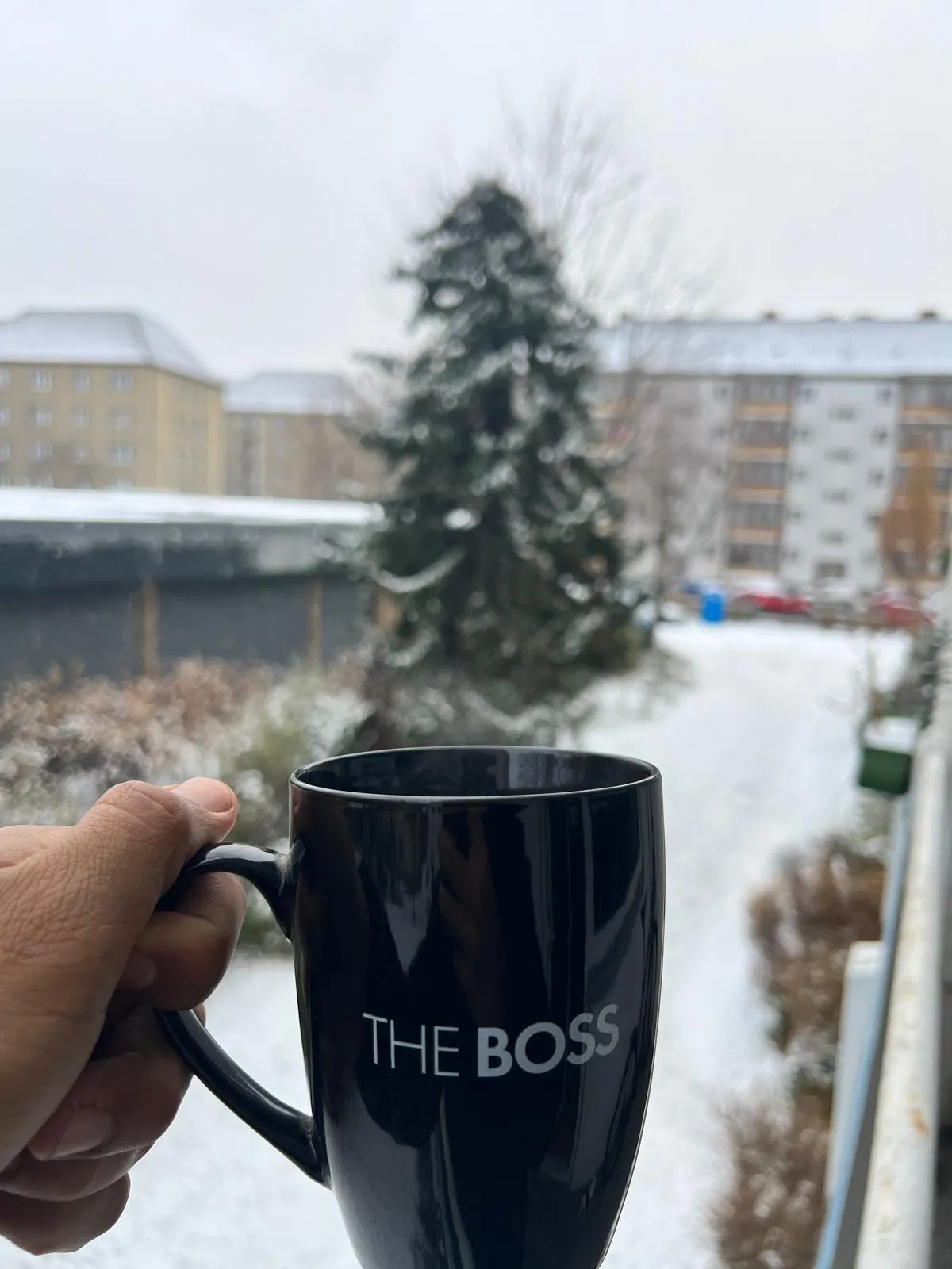 A hand holding a dark mug, a snow-covered courtyard and apartment blocks behind it.